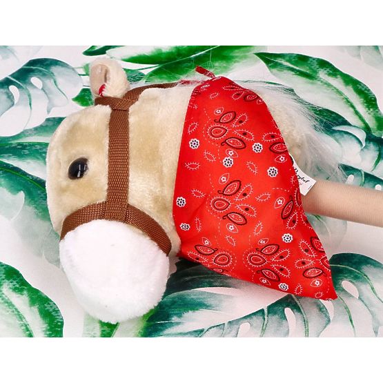 Achał Hobby Horse on a Stick