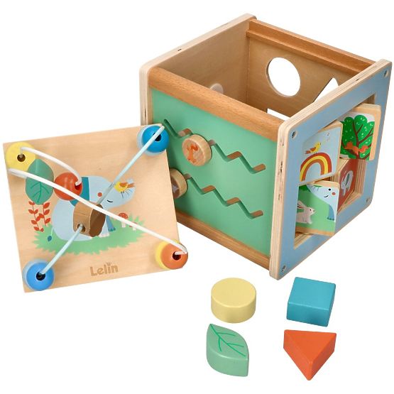 Activity Cube with Motor Loop