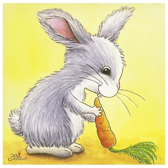 Animal Picture Blocks