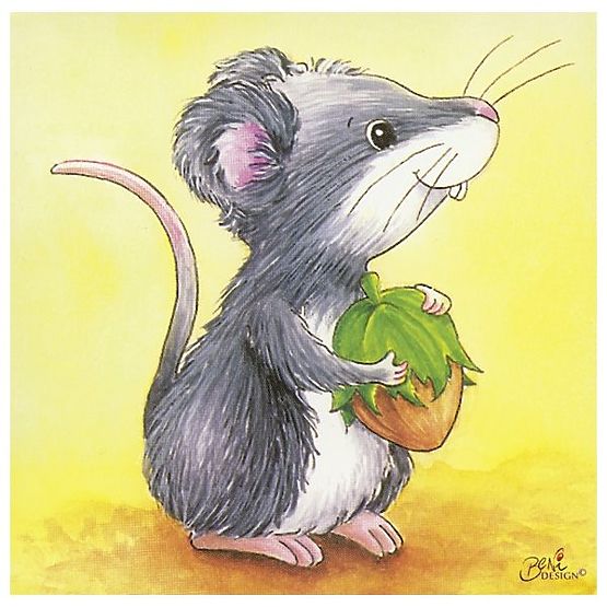 Animal Picture Blocks