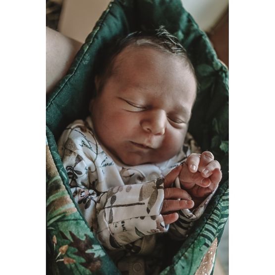 Baby zavinovačka life in forest