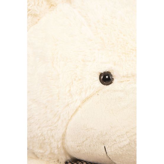 Bear Gustav White