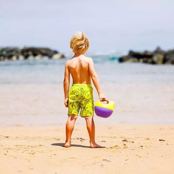 Bi Bio Violet teapot