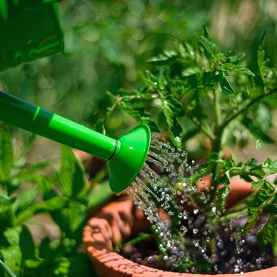 Bigjigs Toys Garden kettle green