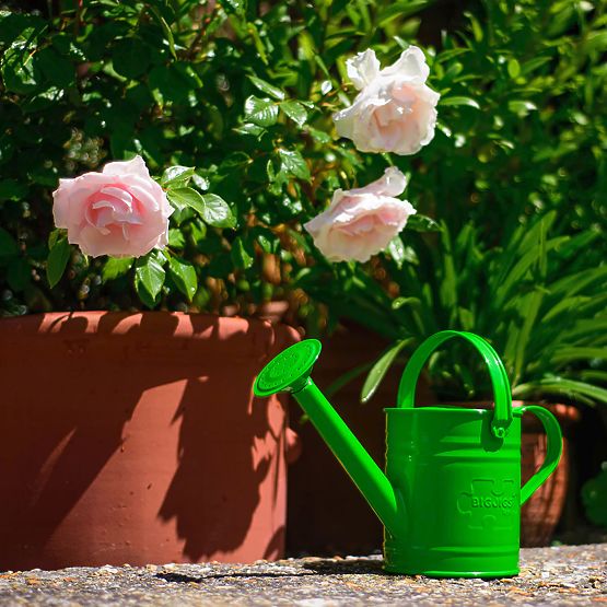 Bigjigs Toys Garden kettle green