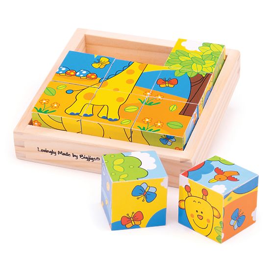 Bigjigs Toys Picture Blocks Cubes Safari 9 Blocks