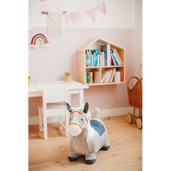 Bouncing Donkey - Set with Cover and Pump