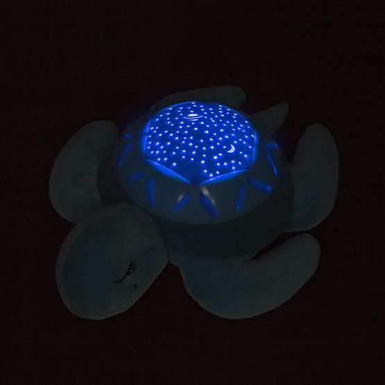 Buddy to sleep - turtle