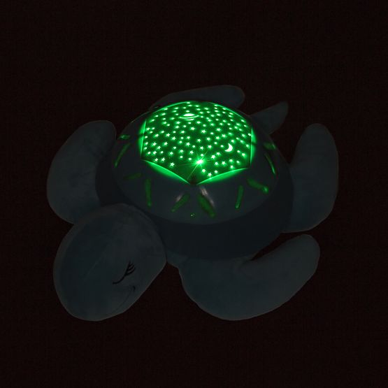 Buddy to sleep - turtle