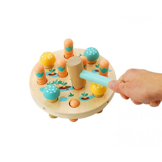 Carrot Field Pounding Toy