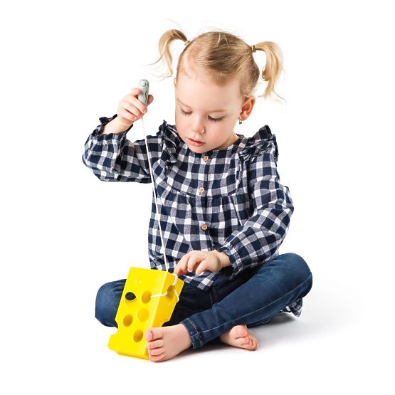 Cheese Maze for Mouse