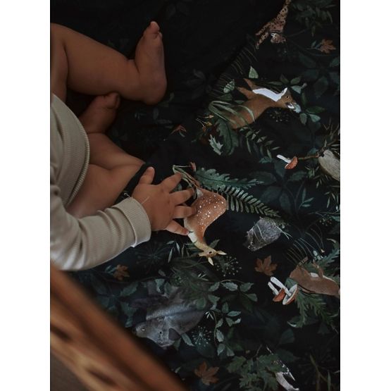 Command sheet with fill Life in the forest