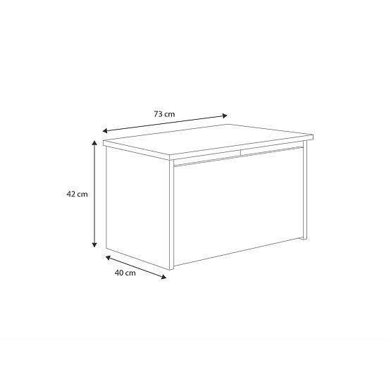 Daria White Toy Chest with Princess Print
