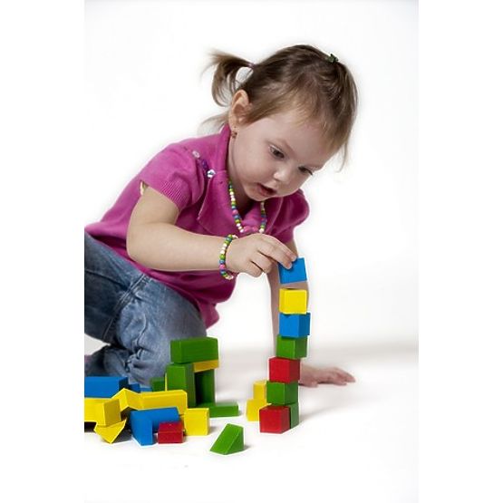 Detoa Wooden Building Blocks 100 pcs