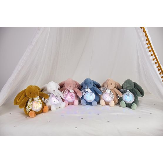 Doudou Music Box with Projection Brown Bunny