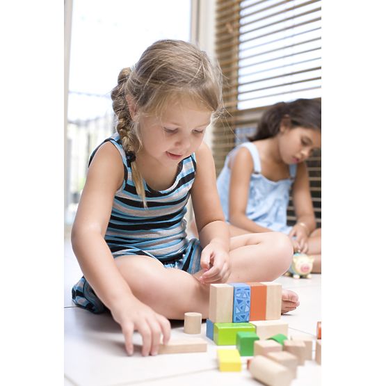 Ecotoys wooden blocks - 100 pcs