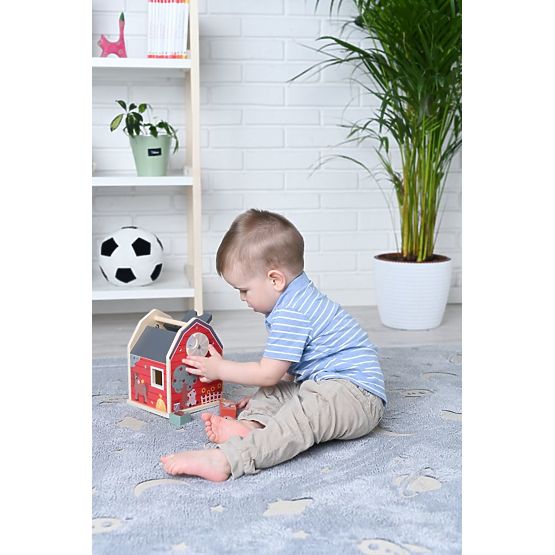 Farm Wooden Sorter with Blocks