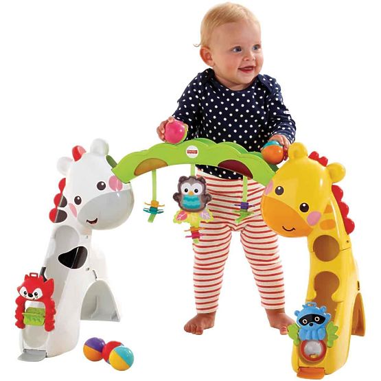 Fisher Price Activity Play Gym