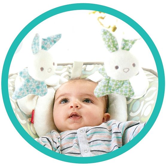 Fisher Price Comfort Curve Deluxe Baby Seat