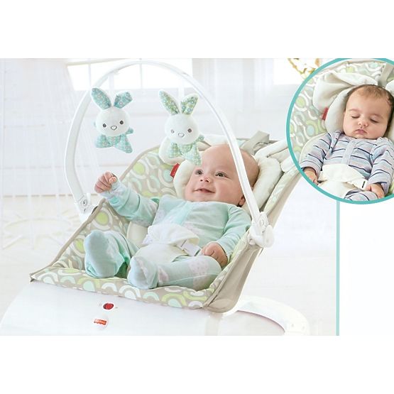 Fisher Price Comfort Curve Deluxe Baby Seat