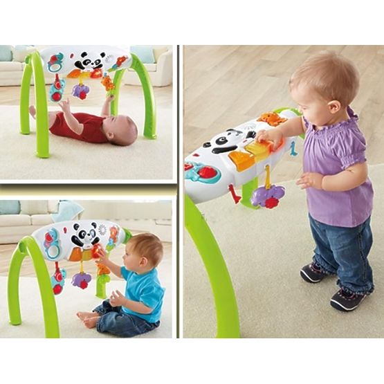 Fisher Price Grow-with-Me Gym