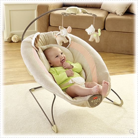 Fisher Price Puppy Infant Seat