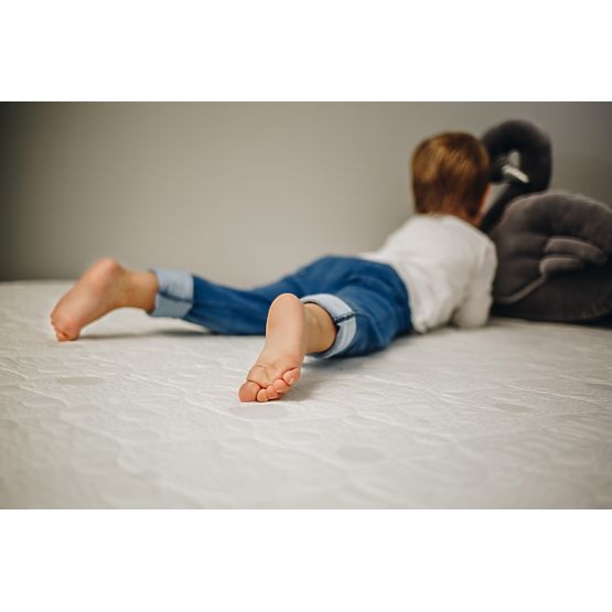 Foam mattress BASIC - 190x100 cm