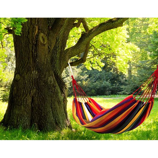 Garden hammock