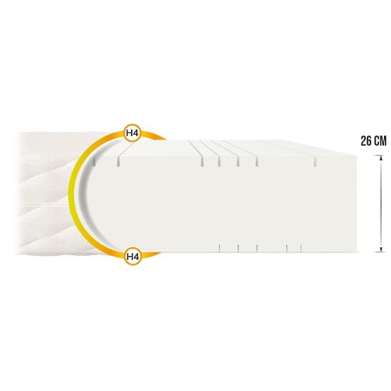 Goya Max Plus foam mattress 80 x 200 cm