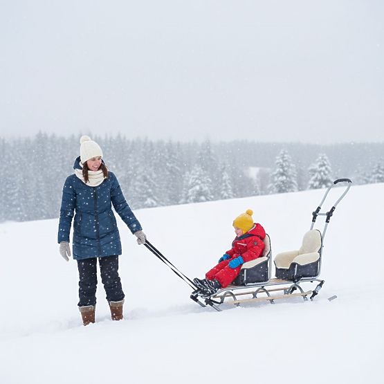 Sled for twins Duo Sport - different seat colors