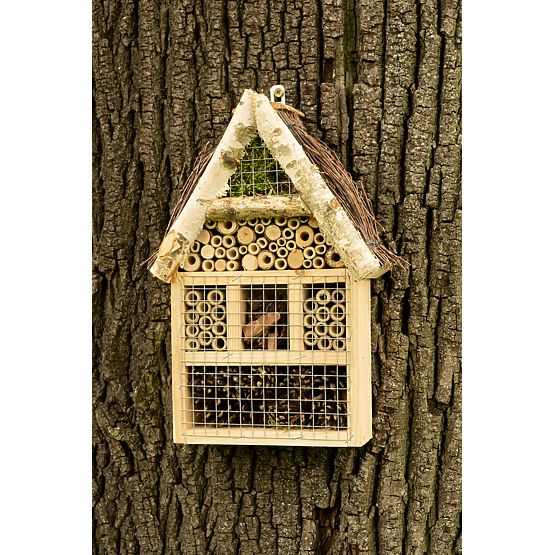 Fly Insect House