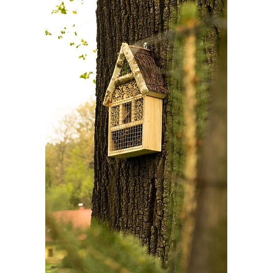 Fly Insect House