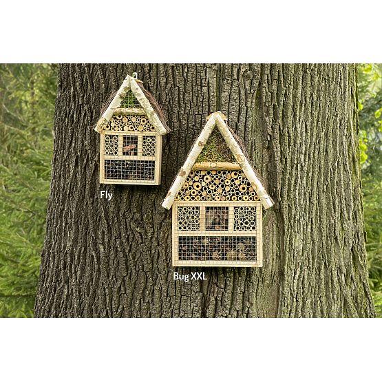 Fly Insect House