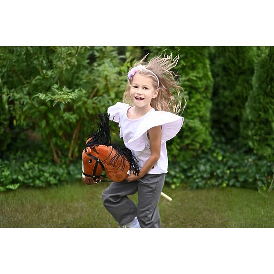 Hobby Horse Stick Horse Gniadek