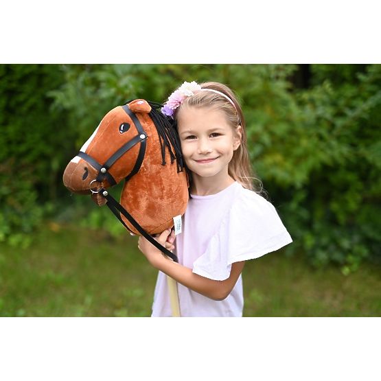 Hobby Horse Stick Horse Gniadek