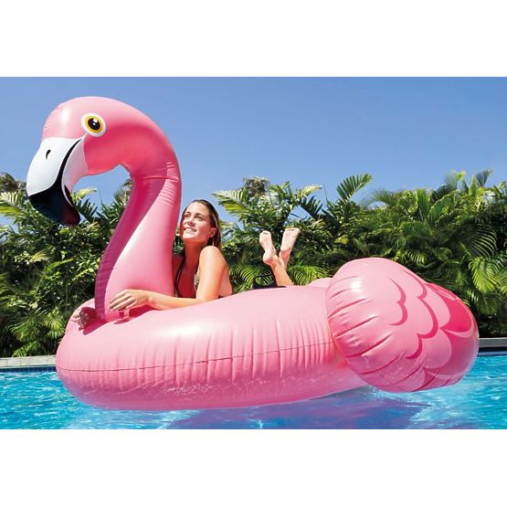 Inflatable flamingo in the water