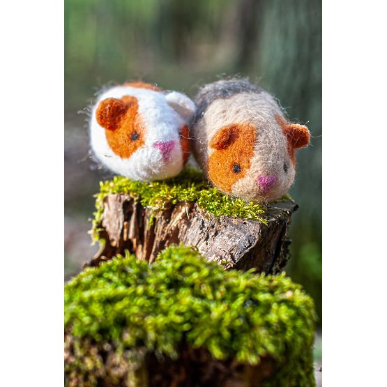 Kit for felting - Guinea pigs