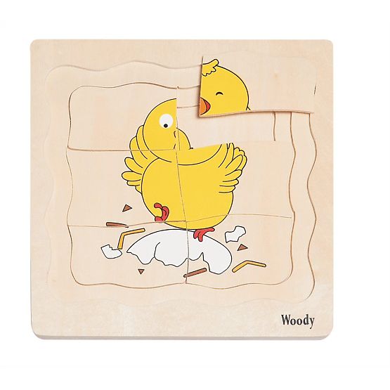 Layered Puzzle Life of a Hen
