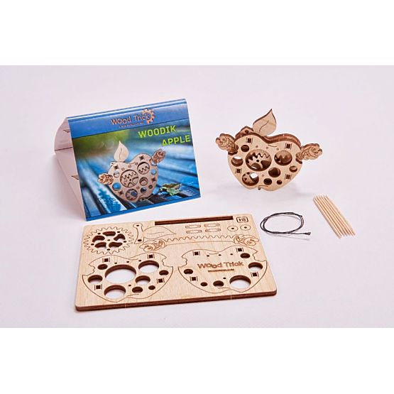 Mechanical Puzzle Apple with Worm