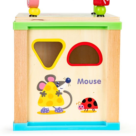 Multifunction educational toy with labyrinth and table