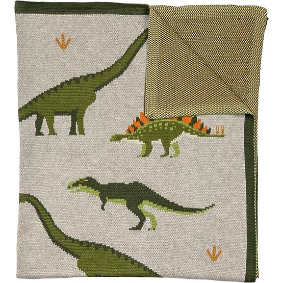 Nature Planet Organic Cotton Blanket Dinosaurs