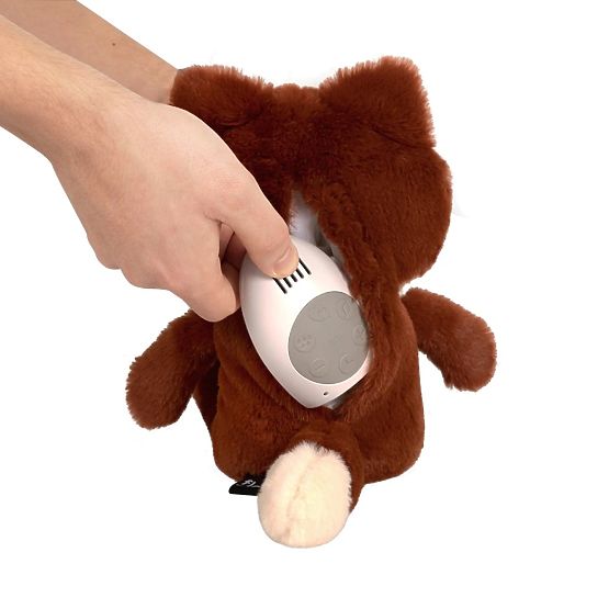 Orange fox with heartbeat FLOW