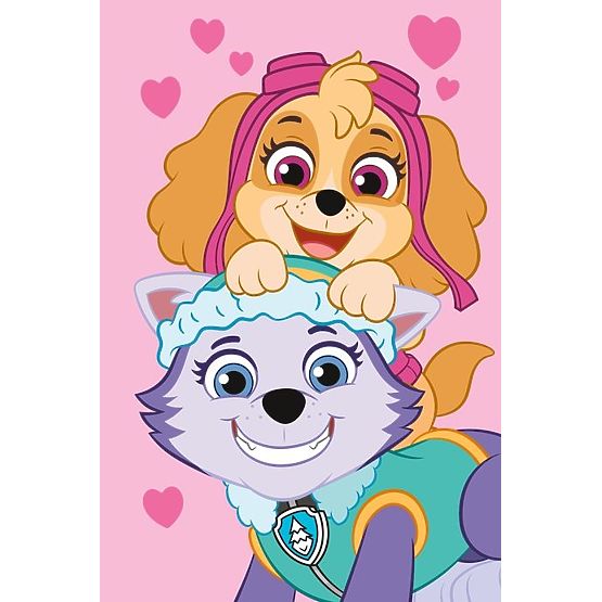 Paw Patrol Fleece Blanket - Skye and Everest