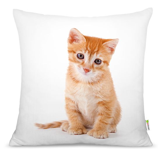 Pillow KITTY 04