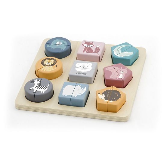 PolarB Shape Puzzle