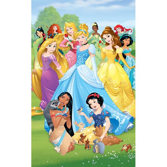 Princesses in a Meadow 6-Panel Children's Wall Mural