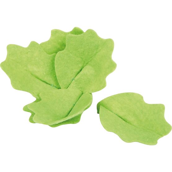 Salad Set with Cutting Vegetables Fresh