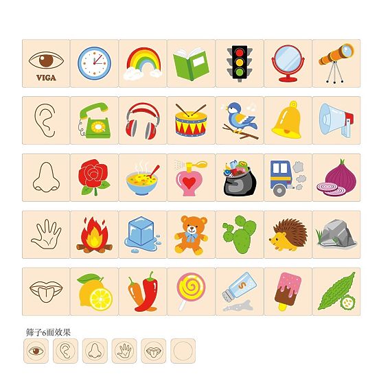 Sense Sorting Puzzle