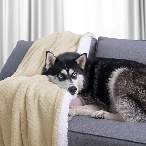 SHLEEPY Blanket Beige Jacquard Pressed Classic Style 130x180