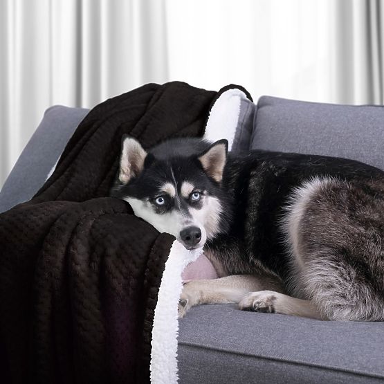 SHLEEPY Blanket Black with Jacquard Pattern Classic Style 130x180